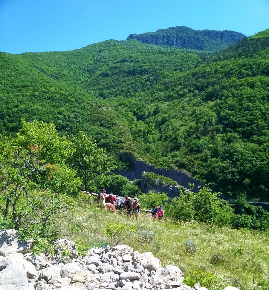 Balades naturalistes à Saillans